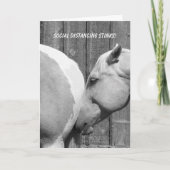 Carte Drôle Cheval pue Social Distancing You Missing (Devant)