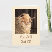 Carte Drôle Chèvre beau Diable Anniversaire (Devant)