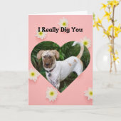 Carte Drôle Chien Boueux Je T'Ai Vraiment Creusé Valenti (Fleur jaune)