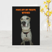 Carte Drôle Chien Éffrayant Paws Off Mes Traitements Hal (Fleur jaune)