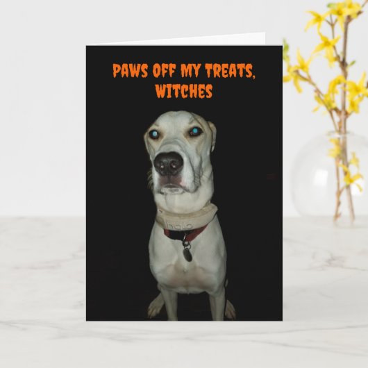 Carte Drôle Chien Éffrayant Paws Off Mes Traitements Hal (Fleur jaune)