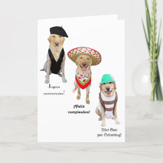 Carte Drôle Chien Joyeux Anniversaire en quatre langues