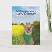 Carte Drôle Chien/Lab No Bull Anniversaire (Devant)