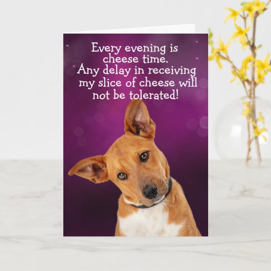 Carte Drôle chien pensée (Fleur jaune)