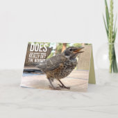 Carte Drôle Couverture Texte Oiseau Photo Salutation (Devant)
