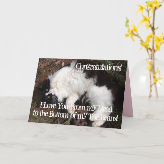 Carte drôle de chat en smoking pour anniversaire a (Fleur jaune)