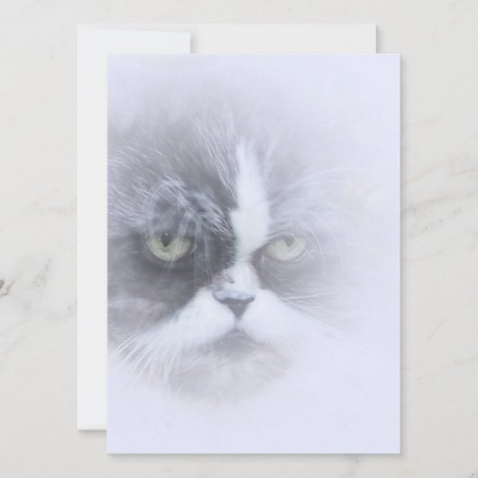 Carte drôle de chat perse avec de grands yeux (Devant)