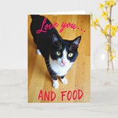 Carte drôle de chat qui aime la nourriture (Fleur jaune)