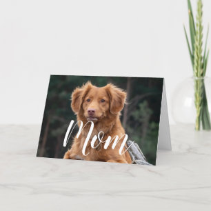 Carte drôle de fête d'anniversaire pour maman de c