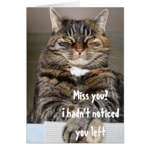 Carte drôle de jugement chat qui vous manque