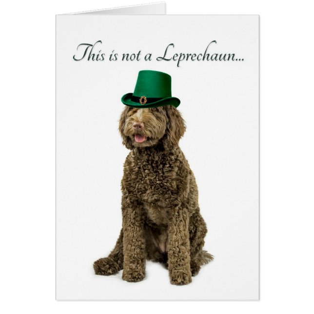 Carte drôle de lutin de Labradoodle (Devant)