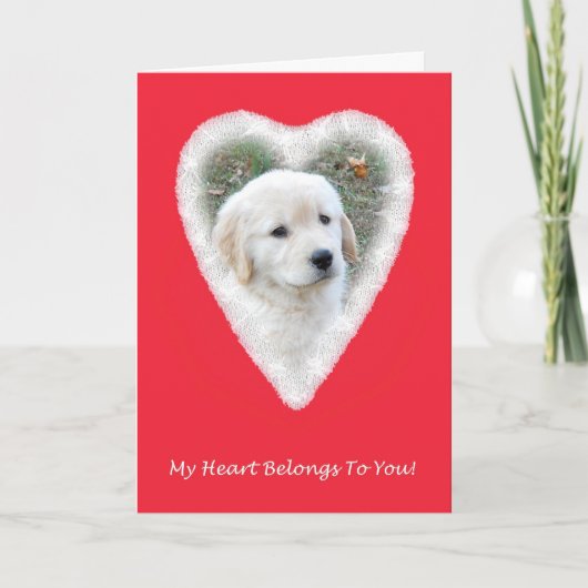 Carte drôle de Saint-Valentin de golden retriever (Devant)