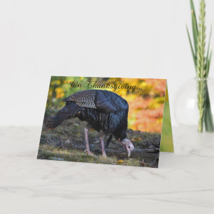 Carte Drôle de Thanksgiving