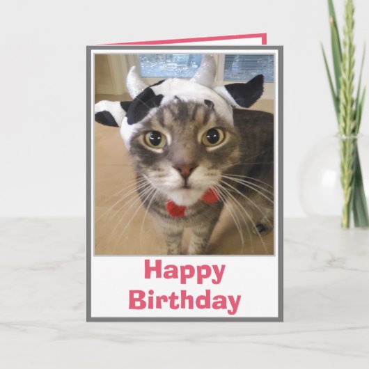 Carte drôle de vache et de chat pour anniversaire (Devant)