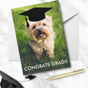 Carte Drôle Dog Photo Graduation Card, Custom Dog Photo