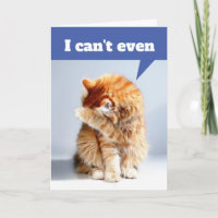 Drôle Drama Chat - Je ne peux même pas Anniversair
