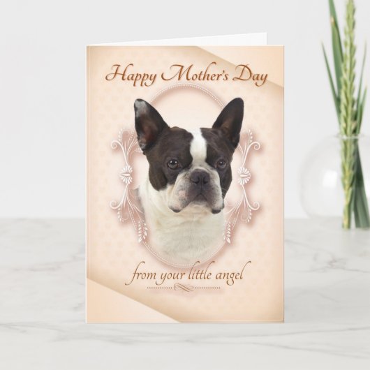 Carte drôle du jour de mère de Boston Terrier (Devant)