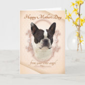 Carte drôle du jour de mère de Boston Terrier (Fleur jaune)