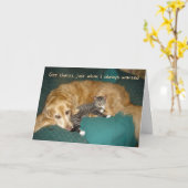 Carte Drôle Golden Retriever avec Kitten Anniversaire (Fleur jaune)