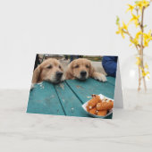 Carte Drôle Golden Retriever Chiens Voeux d'anniversaire (Fleur jaune)