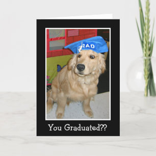 Carte Drôle Golden Retriever Vous Diplômé