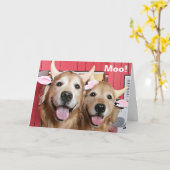 Carte Drôle Golden Retrivers en costumes de vache Hallow (Fleur jaune)