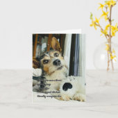 Carte drôle Je t'aime du chien (Fleur jaune)