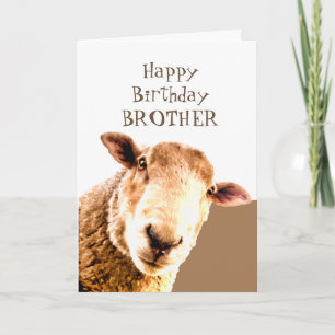 Carte Drôle Joyeux Anniversaire Ewe sont LE MEILLEUR FRÈ