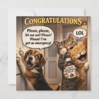 Drôle la farce chien et chat félicitations lisaien