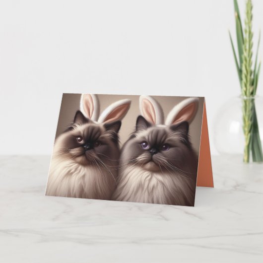 Carte Drôle lapin de chats Joyeux Pâques (Devant)
