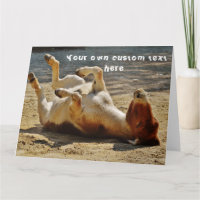 Drôle mignon Cheeky Donkey Custom Joyeux Anniversa