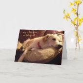 Carte Drôle, mignon chien couché rêve (Fleur jaune)