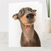 Carte Drôle mignon Doberman Chien Chien Chien Chien (Devant)