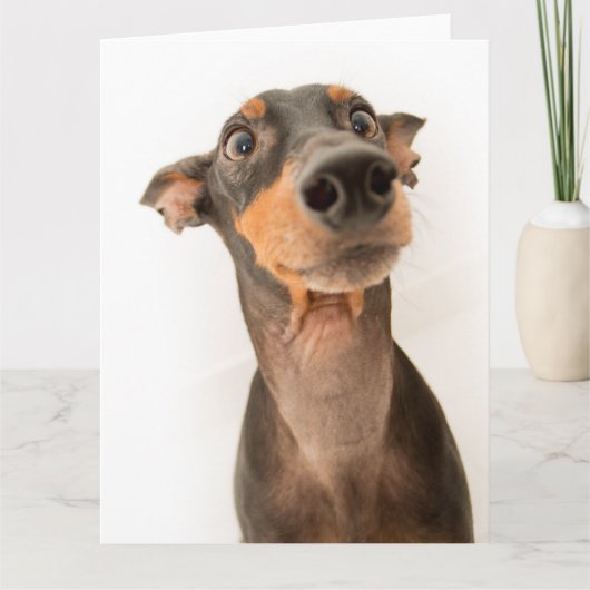 Carte Drôle mignon Doberman Chien Chien Chien Chien (Devant)