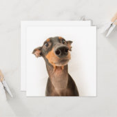 Carte Drôle mignon Doberman Chien Chien Chien Chien (Devant/Arrière en situation)