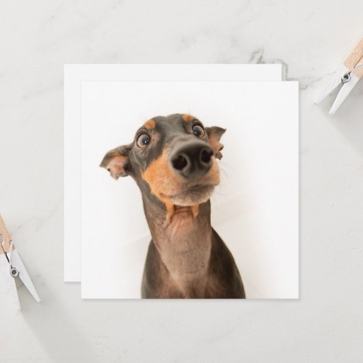 Carte Drôle mignon Doberman Chien Chien Chien Chien (Devant/Arrière en situation)