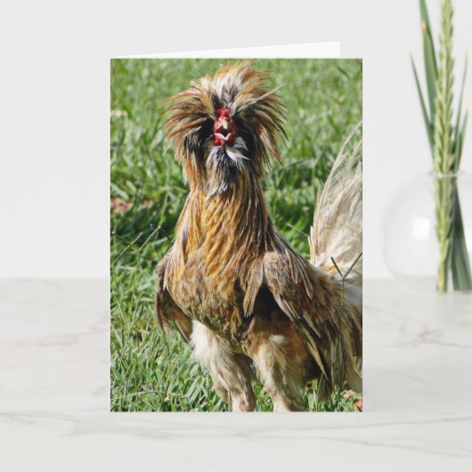 Carte Drôle mignon Mauvais Coiffeur Jour Rooster (Devant)