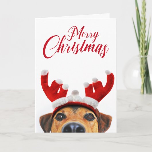 Carte Drôle mignon renne de chien Antler Headband Noël (Devant)