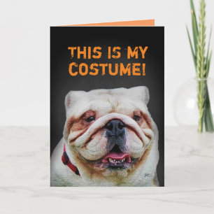 Carte Drôle mou Bulldog Halloween