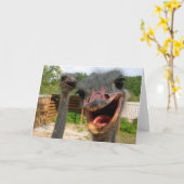 Carte Drôle Ostrich Bird Photo What's Up (Fleur jaune)
