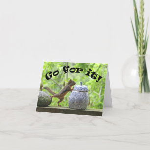 Carte Drôle Photo D'Écureuil ~ Allez-Y !