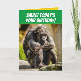 Carte Drôle Poussant Chimpanzé Comme Grumpy Old Man