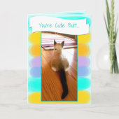 Carte Drôle Siamese Kitten Butt Espace photo (Devant)