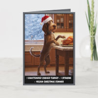 Drôle Spinone Italien