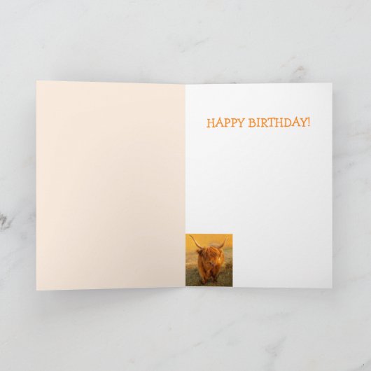 Carte Drôle Steer pour papa Anniversaire (Intérieur)