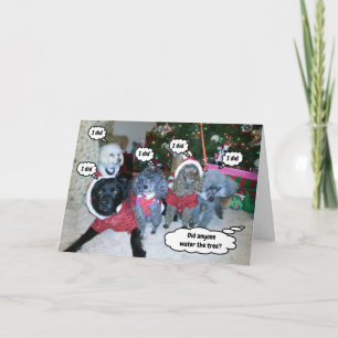 Carte Drôles de chiens aident à arroser l'arbre de Noël