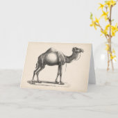 Carte Dromedary Sketch (Fleur jaune)