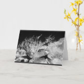 Carte Dry wood landscape (Fleur jaune)