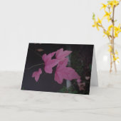 CARTE DSC02372 (Fleur jaune)