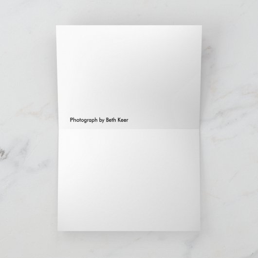 CARTE DSC_0119 (Intérieur)